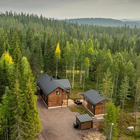 Kuusikko * Syöte